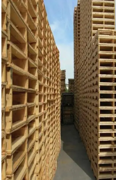 Fabricación de Tarimas y pallets