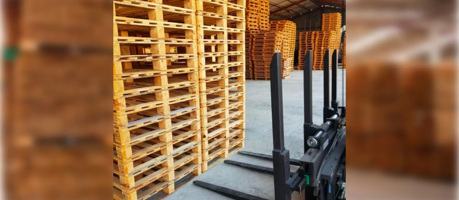 Fabricación de Tarimas y Pallets